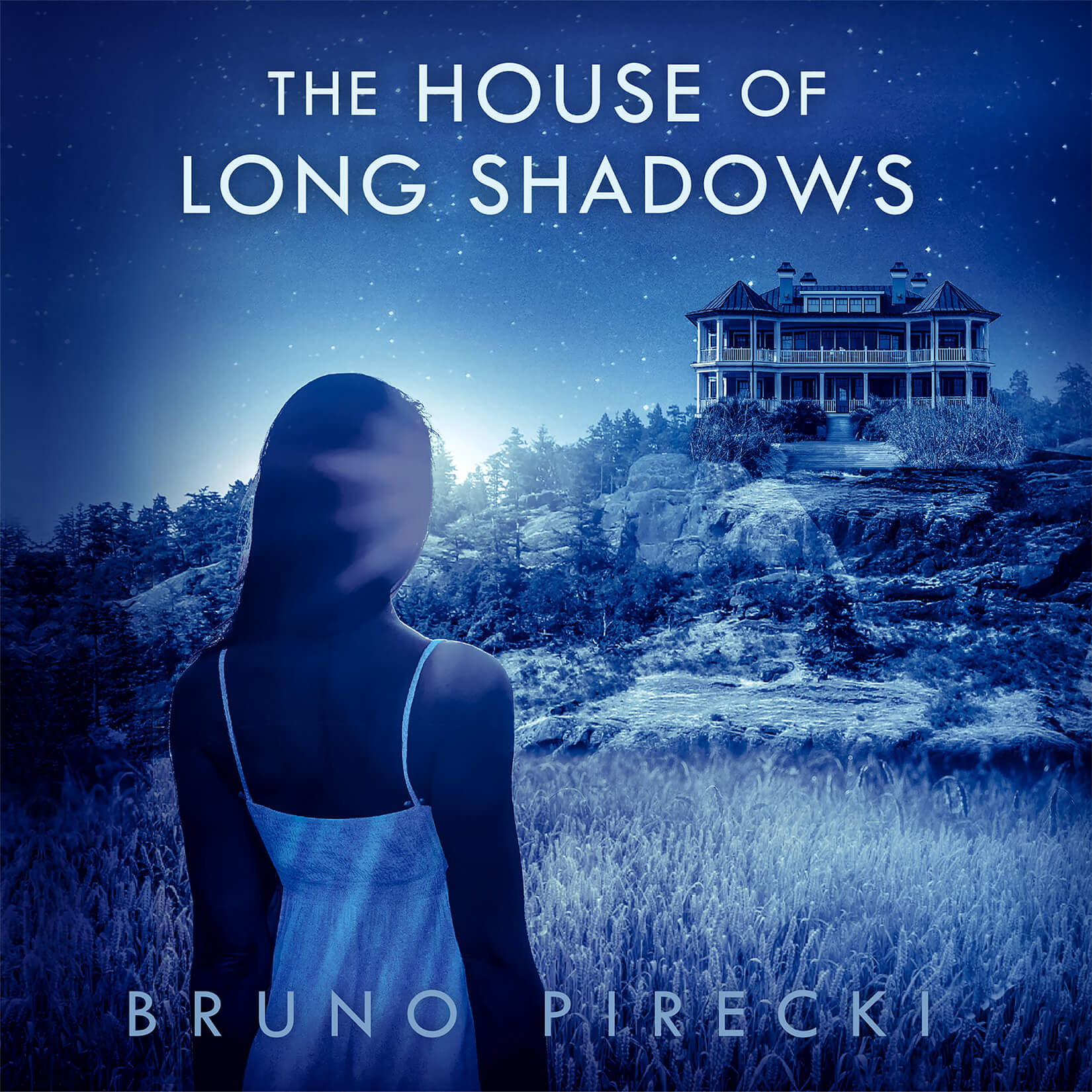 the house of long shadows audio book