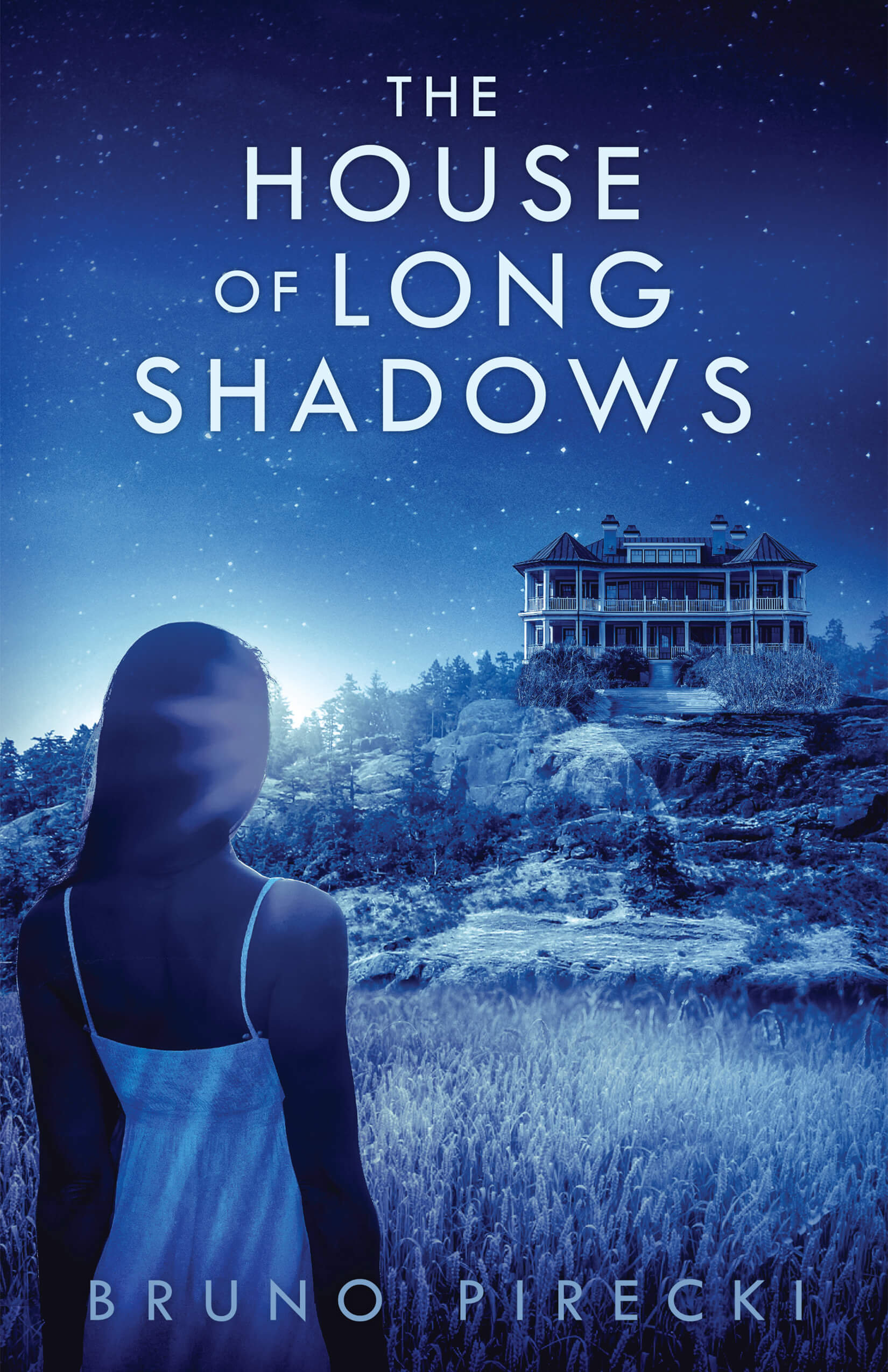 the house of long shadows book cover