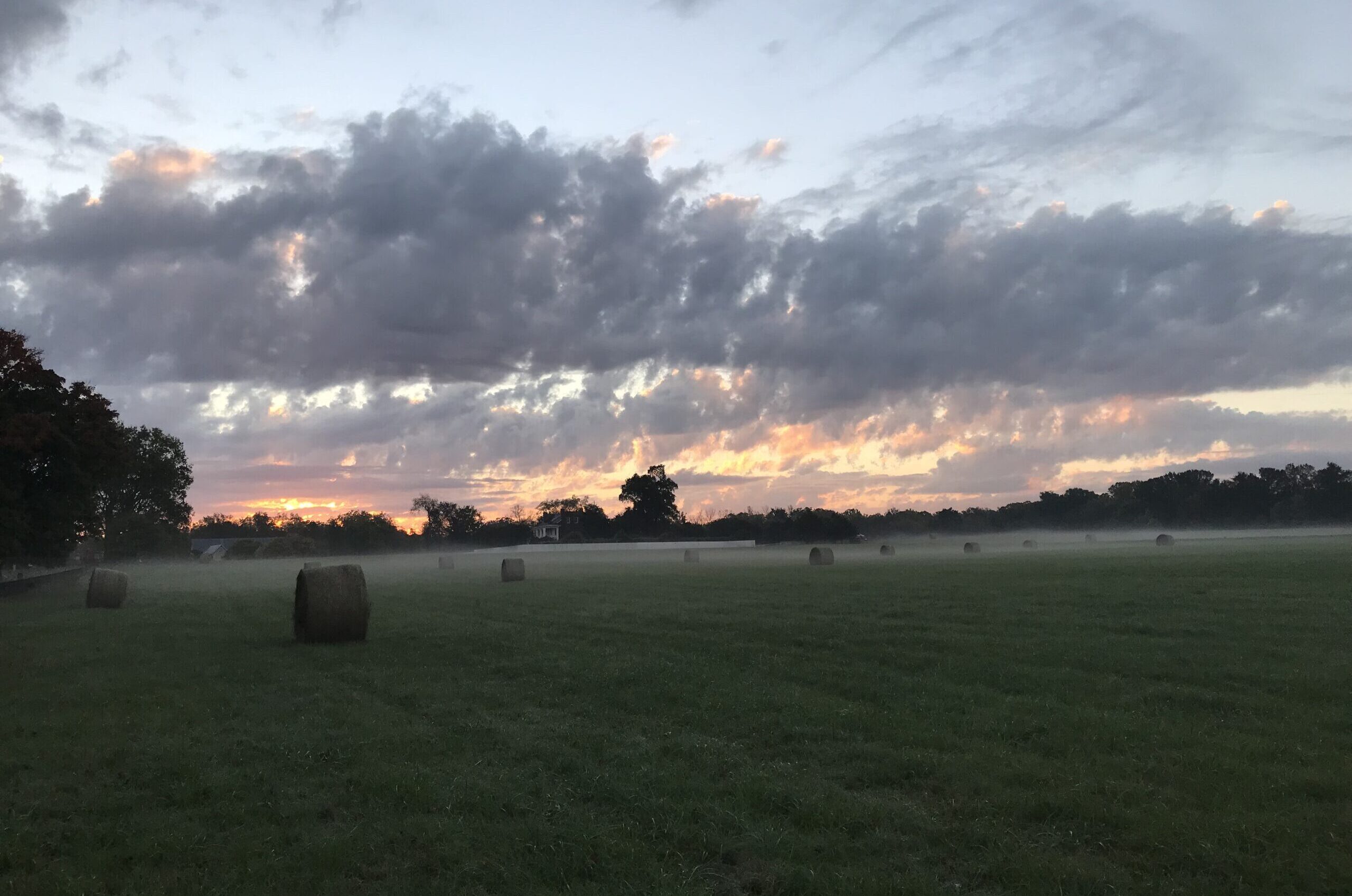 Writing place as a character