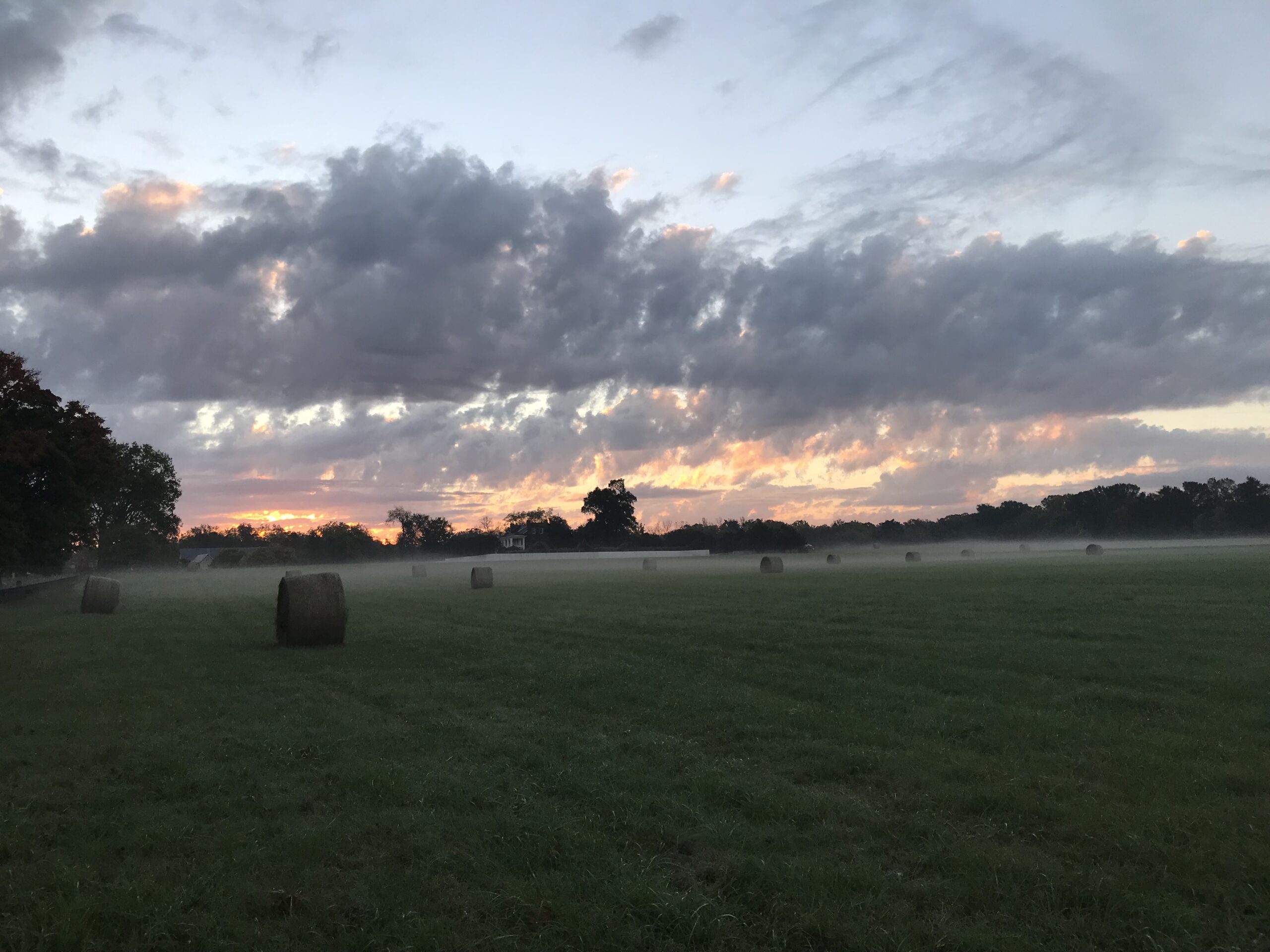 The Character Named Place