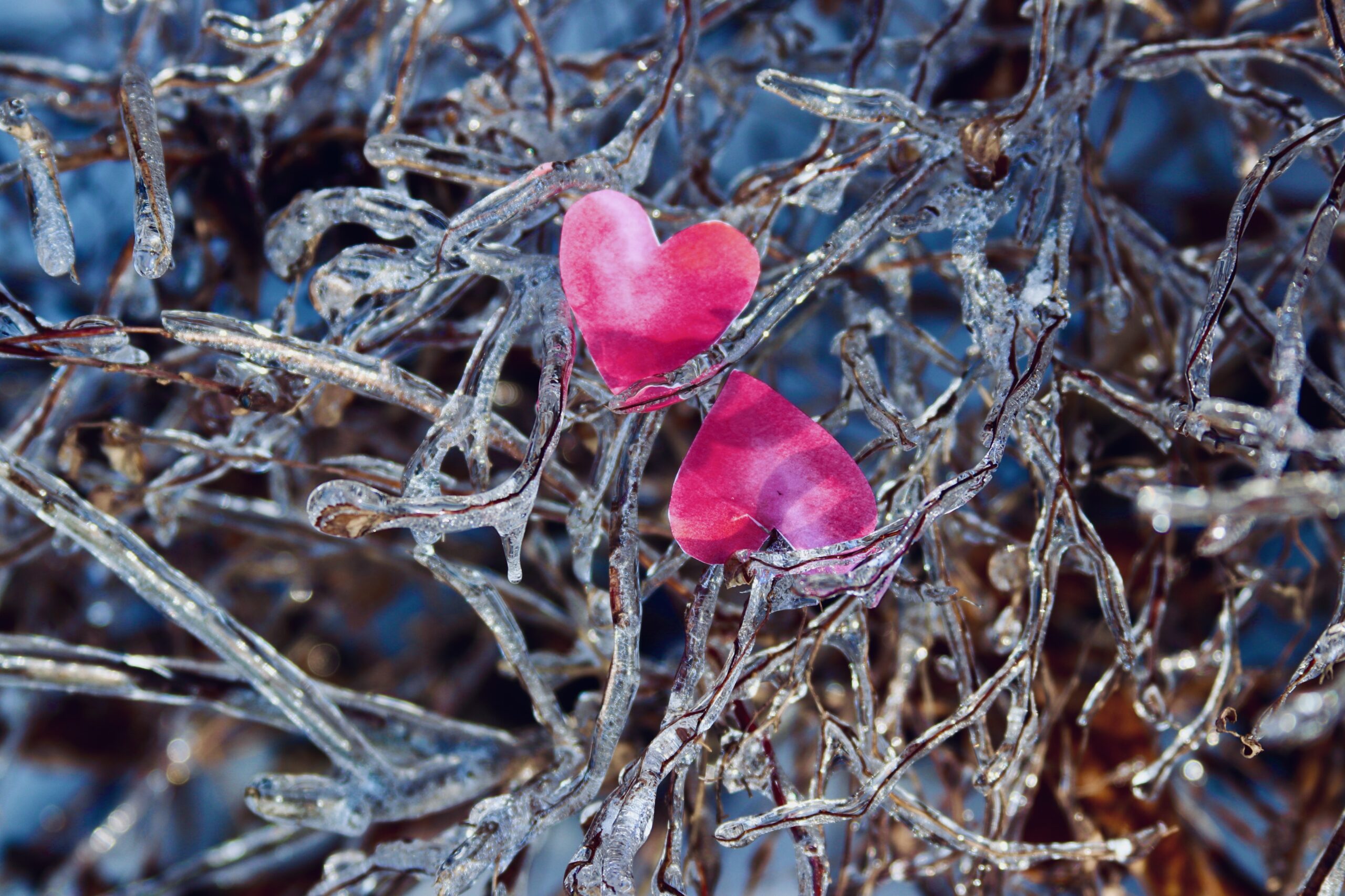 To Sex or not to Sex