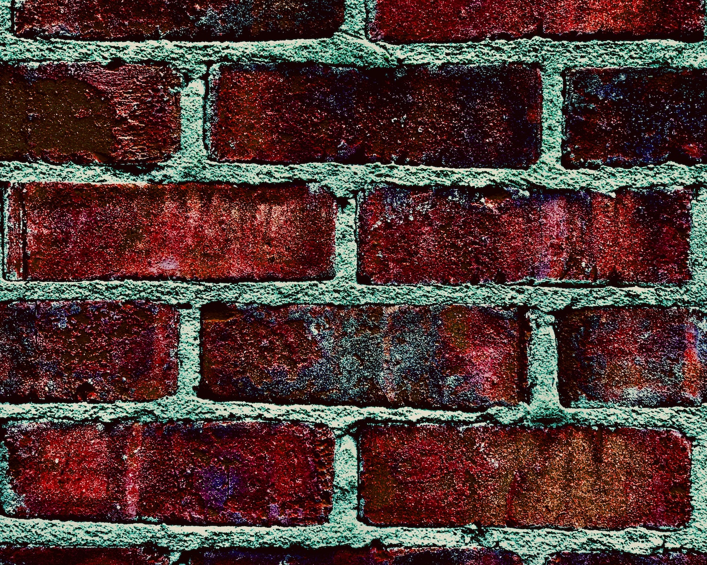 The B Word and its Hidden Beauty . . .